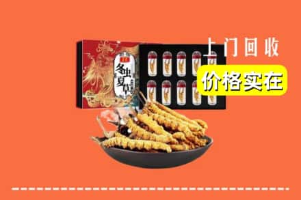 武威市回收冬虫夏草