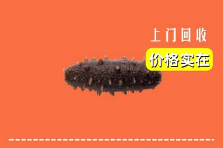 武威市回收海参