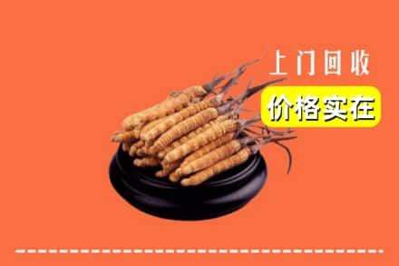 武威市回收冬虫夏草
